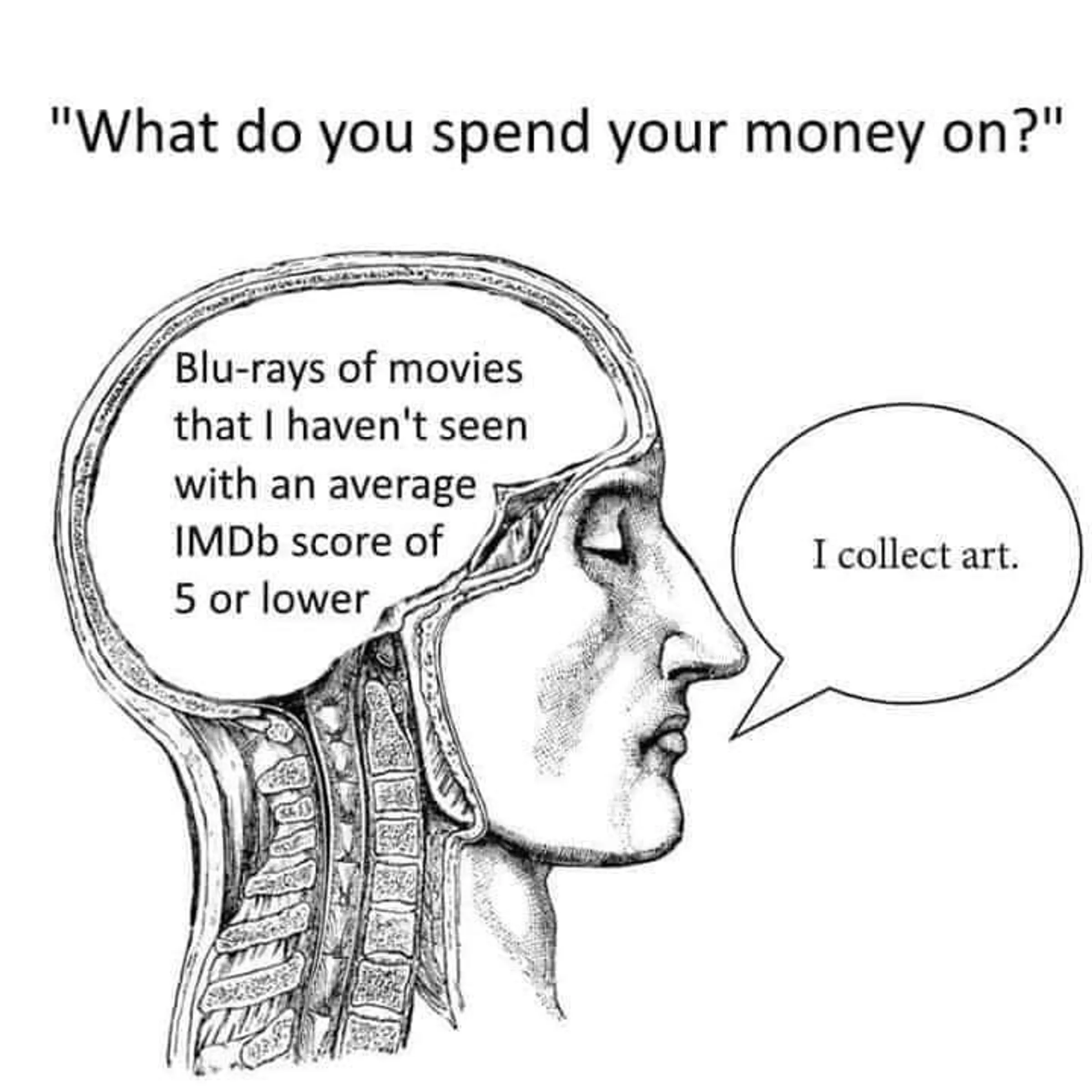 A drawing of a man in profile, with a cut-away skull. Above the head it reads: what do you spend your money on? Text in the brain-case, representing thoughts, says: Blu-rays of movies that I haven't seen with an average IMDb score of 5 or lower. Text in a word bubble, representing speech, says: I collect art.