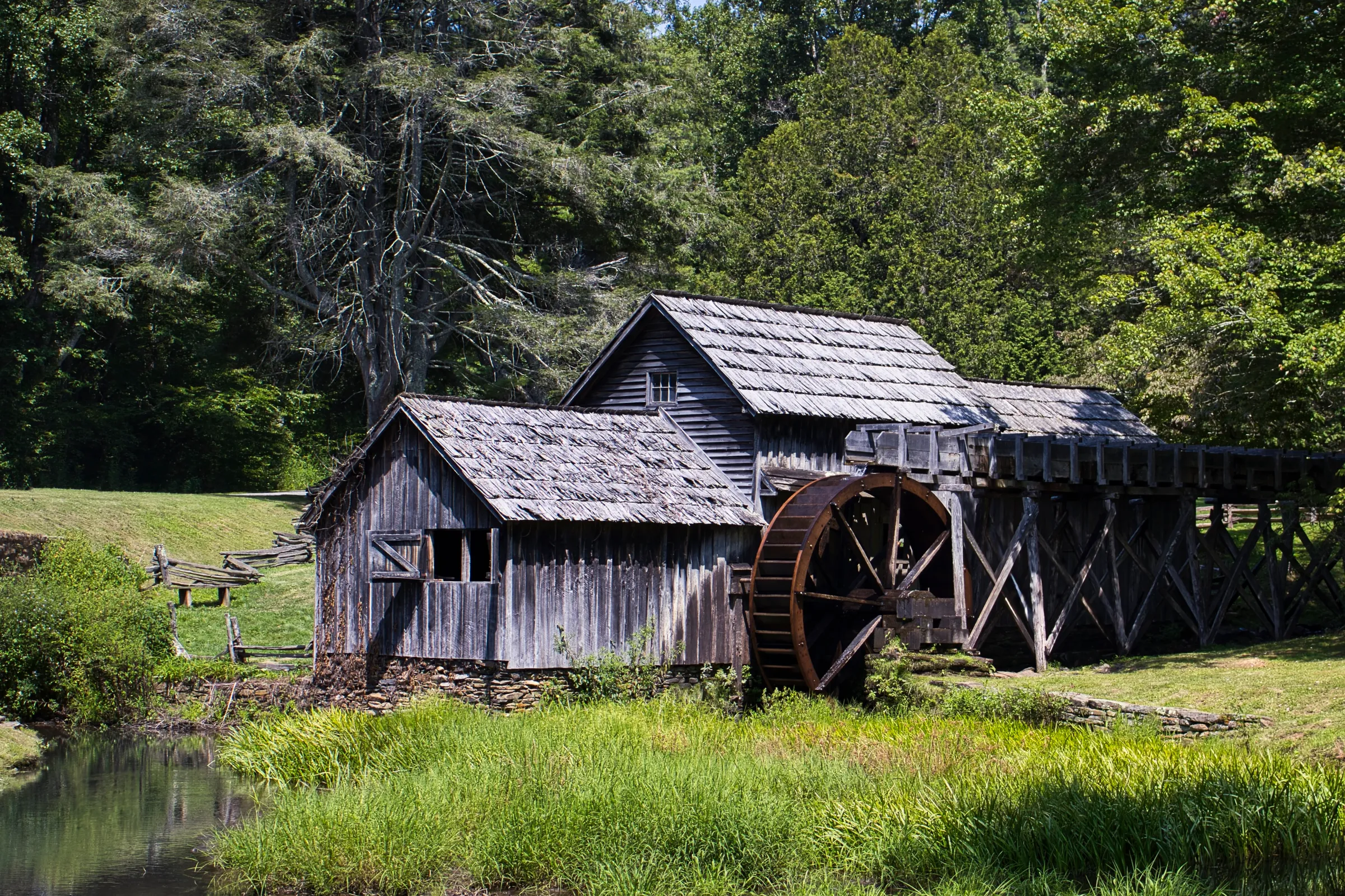 An old sawmill with a water wheel sits in front of a bunch of trees. The wood is very weathered, the sun bright, and it is mid-summer.