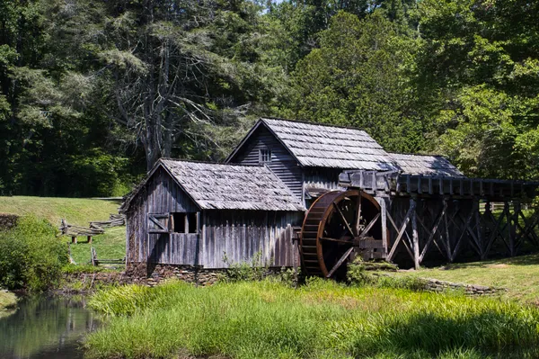 An old sawmill with a water wheel sits in front of a bunch of trees. The wood is very weathered, the sun bright, and it is mid-summer.